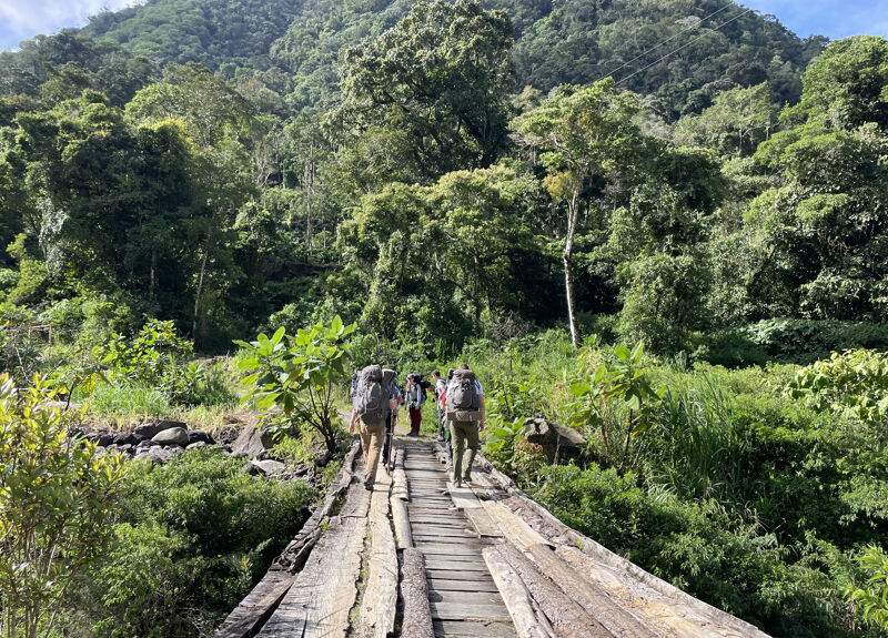 A group of hikers is crossing a wooden bridge in a lush, green environment. The bridge appears to be constructed from planks and leads into a dense forest. The hikers are carrying backpacks, suggesting they are on a multi-day trek. The surrounding landscape features a variety of trees and vegetation, with a mountain visible in the background.
